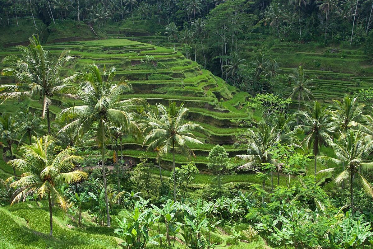 Ubud, Bali